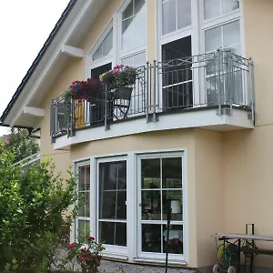 Erholungsfuechse , Andechs Deutschland